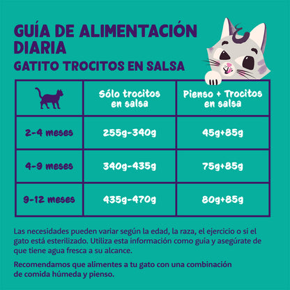 Natvoer voor katten in saus met stukjes kalkoen en kip Edgard & Cooper 85 g