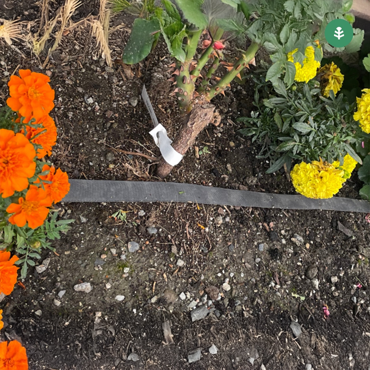 Tubería de Riego por Exudación en Rollo Garden Planeta Huerto 25 m