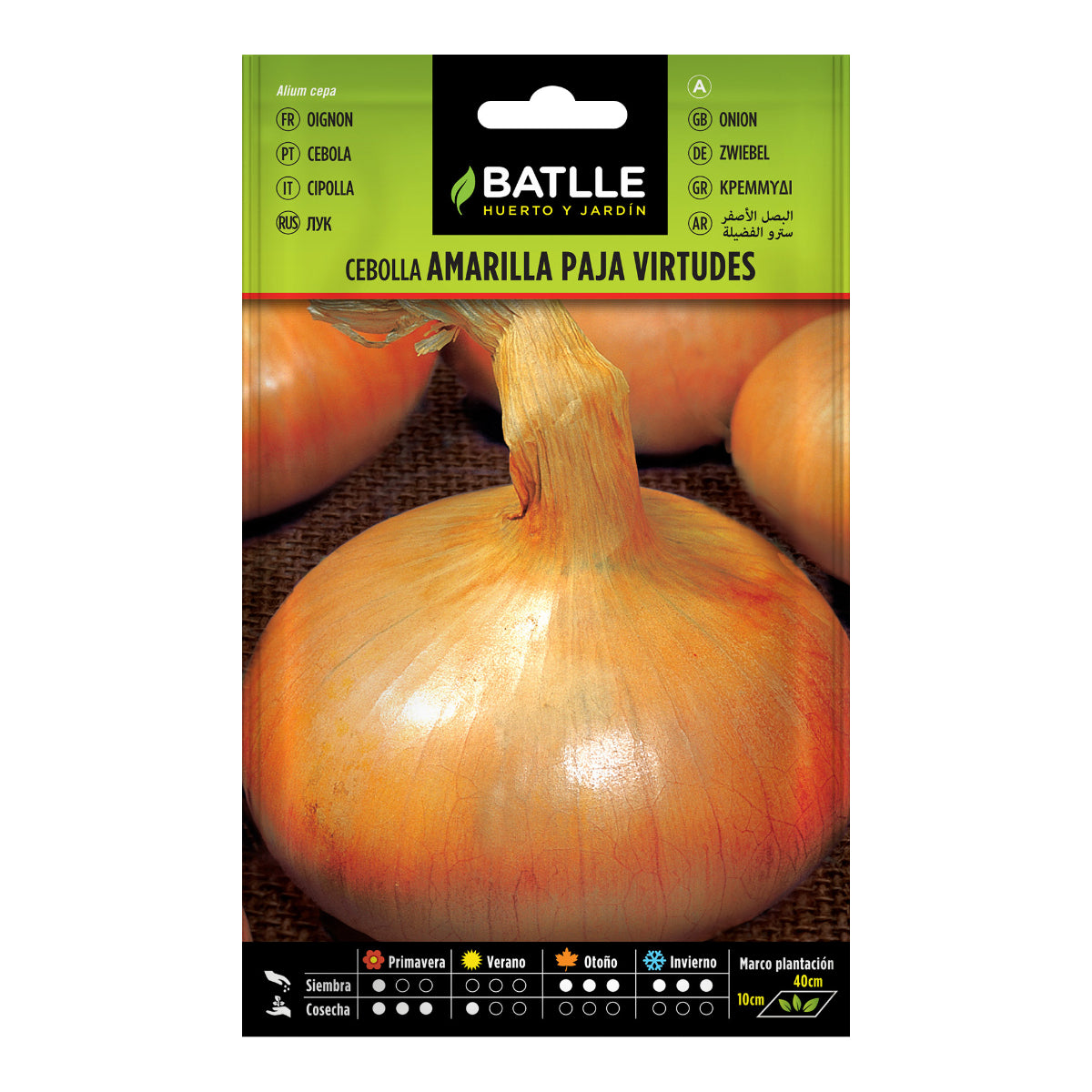 Gelbe Zwiebelsamen Paja Virtudes Batlle