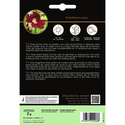 Nasiona jadalnych kwiatów Antirrino Boca De Dragón Rocalba