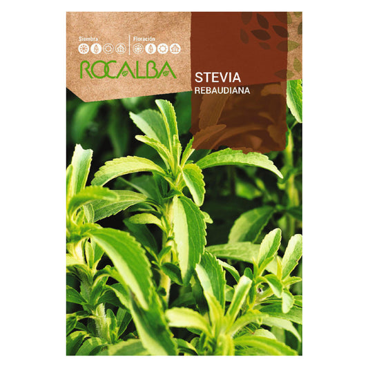Zaden van Stevia rebaudiana, Rocalba