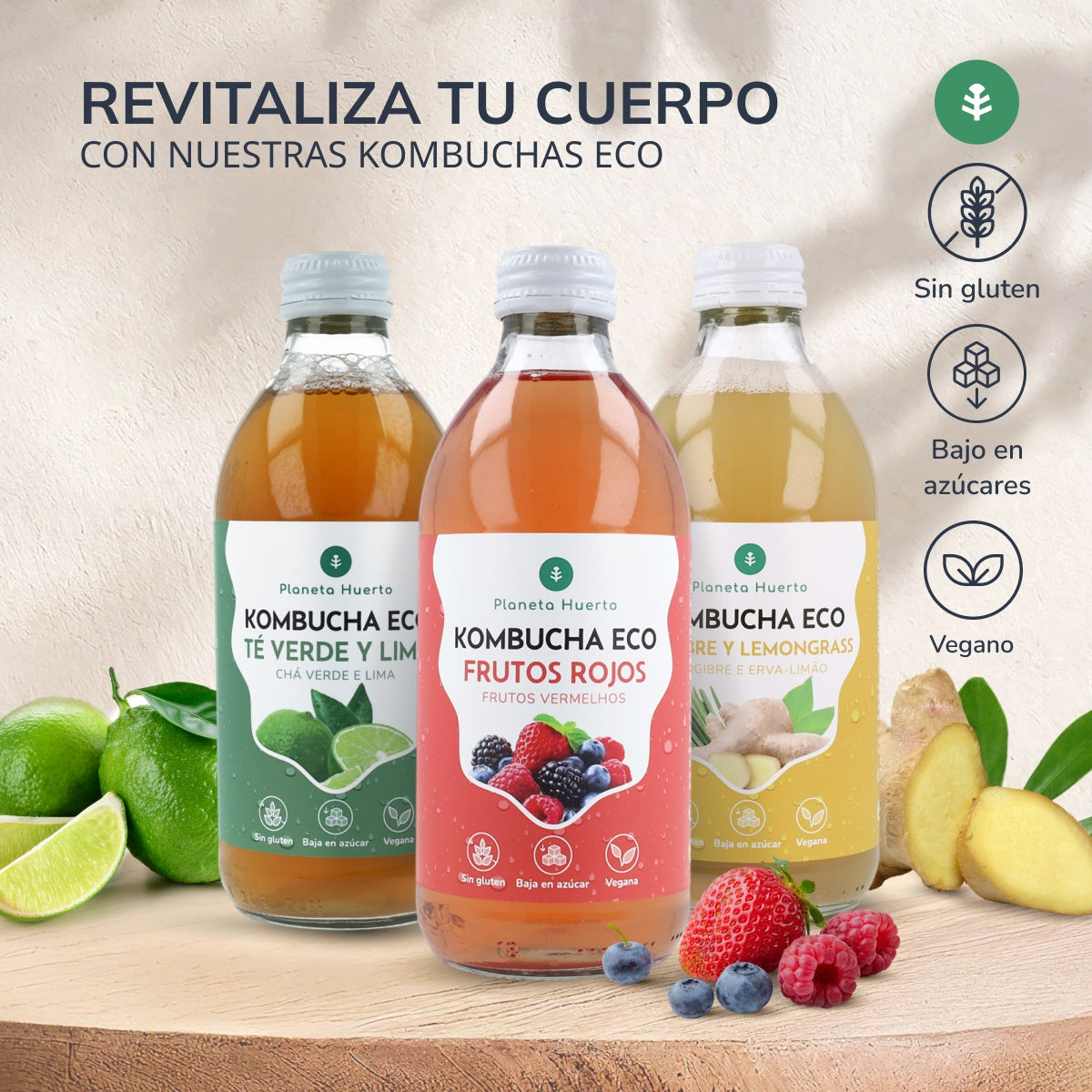 Pack 6x Kombucha ECO thé vert et citron vert Planeta Huerto 330 ml