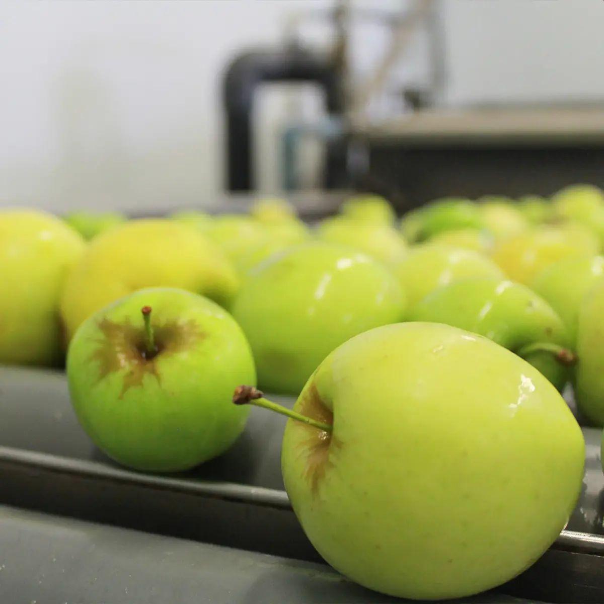 Hergestellt aus Äpfeln und Kiwis aus biologischem Anbau ohne Zuckerzusatz Ékolo 700 g