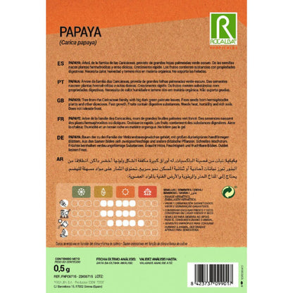 Nasiona papai Carica papaya