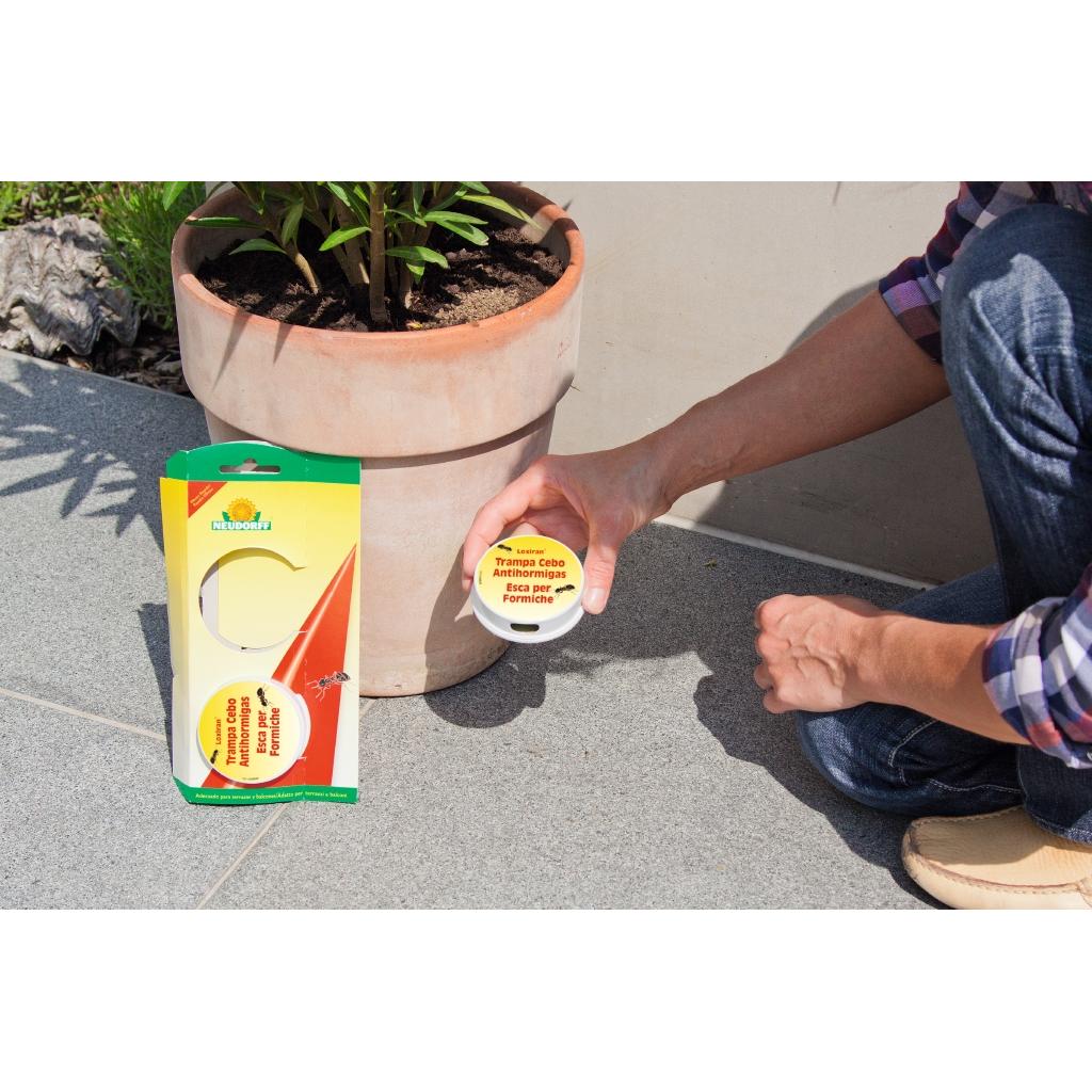 Antihormigas Trampa Cebo Ecológico Loxiran 2 ud Neudorff