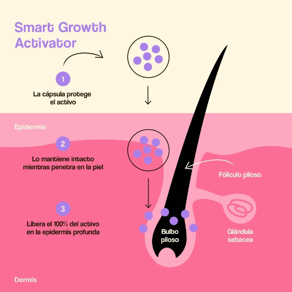Pakket 2x Freshly haargroei- en dichtheidsbehandeling 50 ml