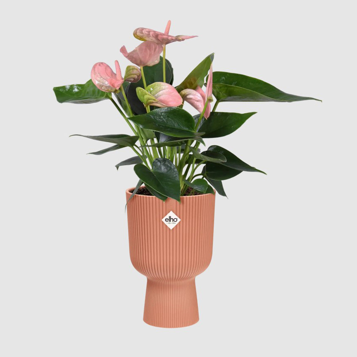 Elho Vibes Fold Coupe Delicate Pink Plant Pot 14 cm