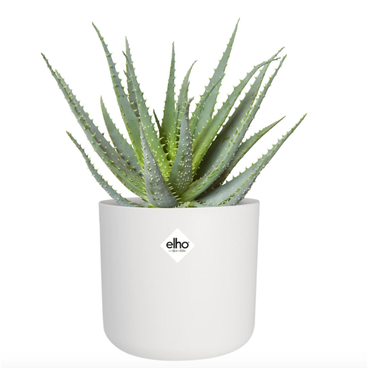 Blumentopf B.for Soft Round Elho Weiß 22 cm