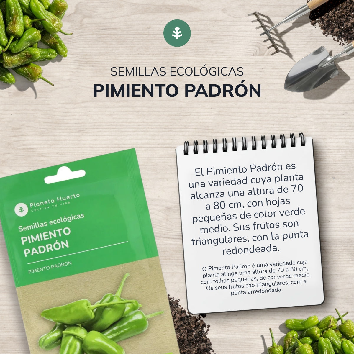 Organiczne nasiona papryki Padron Planeta Huerto