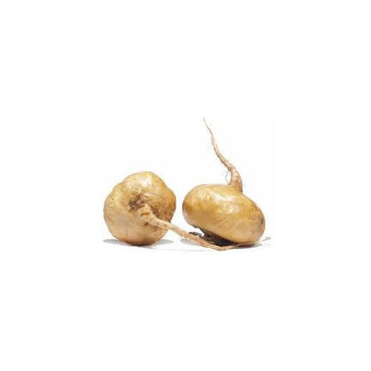 Kapsułki Maca Andina Ecológica 500 mg Marnys, 60 sztuk