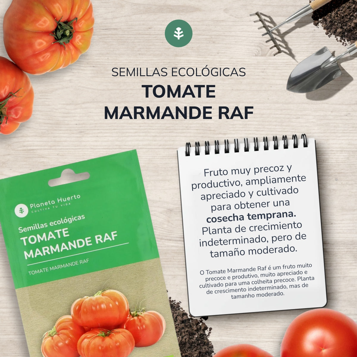 Semillas de Tomate marmande Raf ecológicas Planeta Huerto