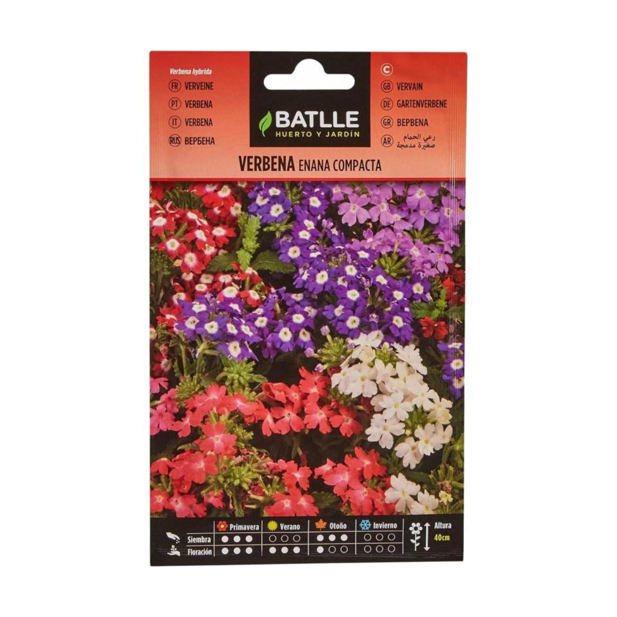 Batlle compact dwarf verbena seeds