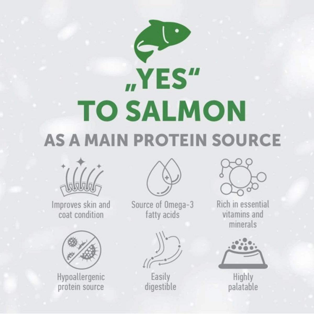 Nature's Protection White Dog Croquettes sans céréales Saumon adulte 1,5 kg