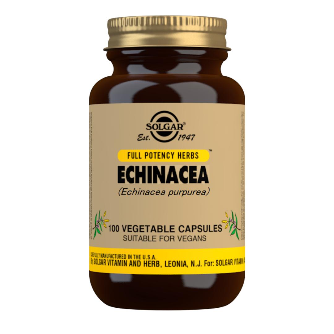 Equinácea, 100 cápsulas de 520mg
