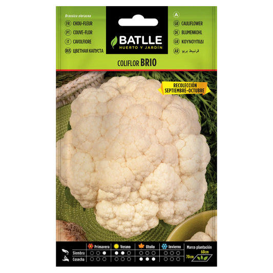Blomkålsfrön Brio Sel. Urgelba Batlle