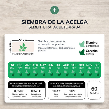 Ekologiczne nasiona boćwiny Planeta Huerto