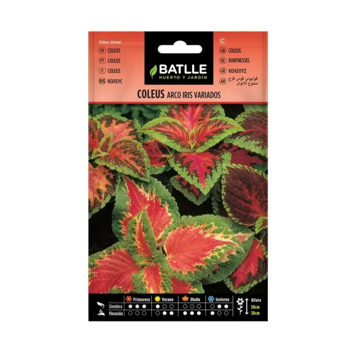 Batlle assorted rainbow coleus seeds