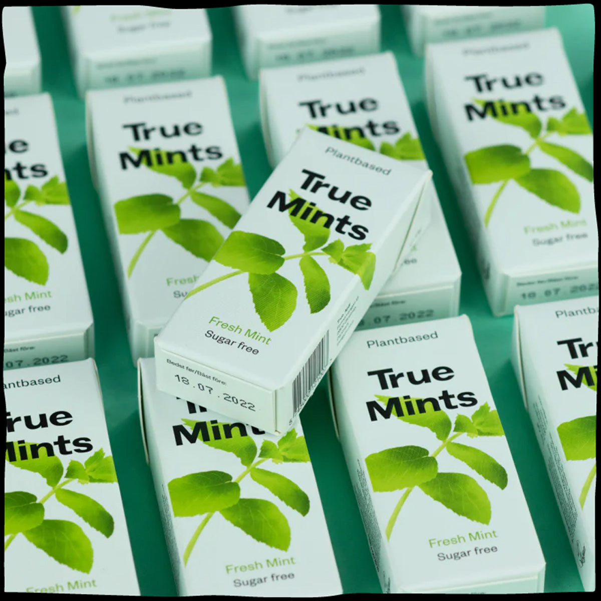 Plastikfreie Bonbons mit frischer Minze True Mints 13 g