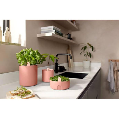 Kruka för groddning av avokado Amazing Avocado Elho Terra