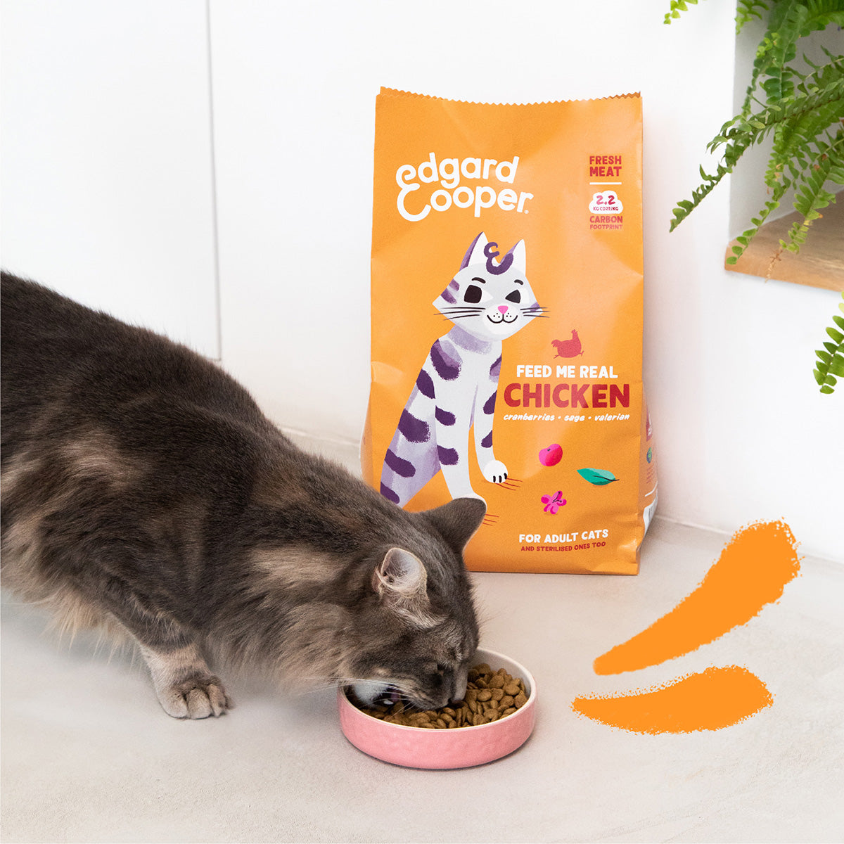 Katzenfutter Edgard & Cooper Frisches Freilandhuhn 4 kg