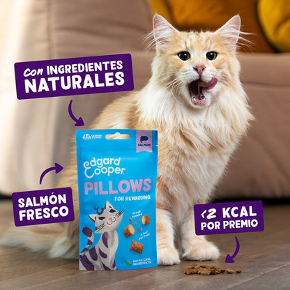Bouchées au saumon Friandises naturelles pour chats Edgard Cooper 60 g