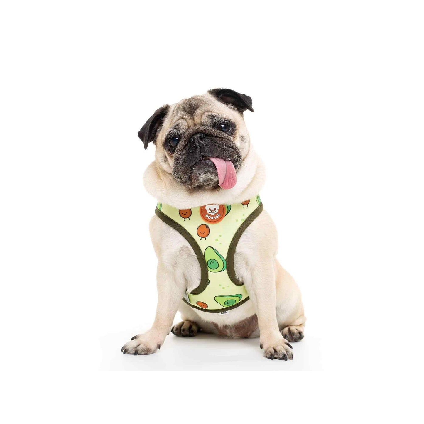 Harnais réversible pour chien AVOCADO Dukier S