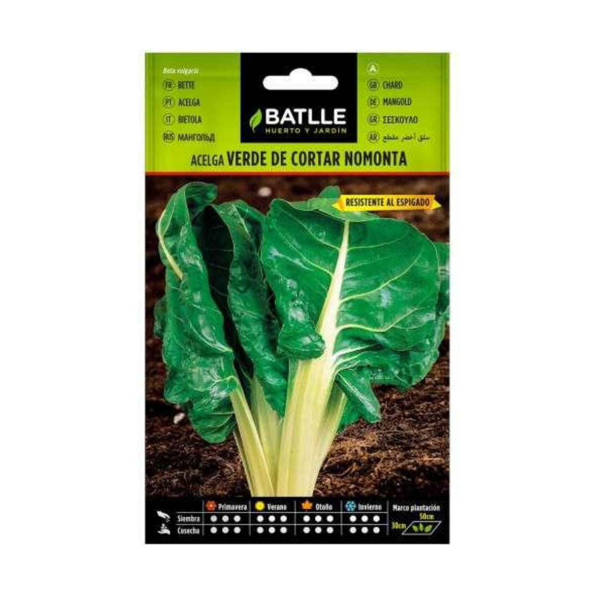 Nasiona boćwiny zielonej do cięcia nomonta Batlle