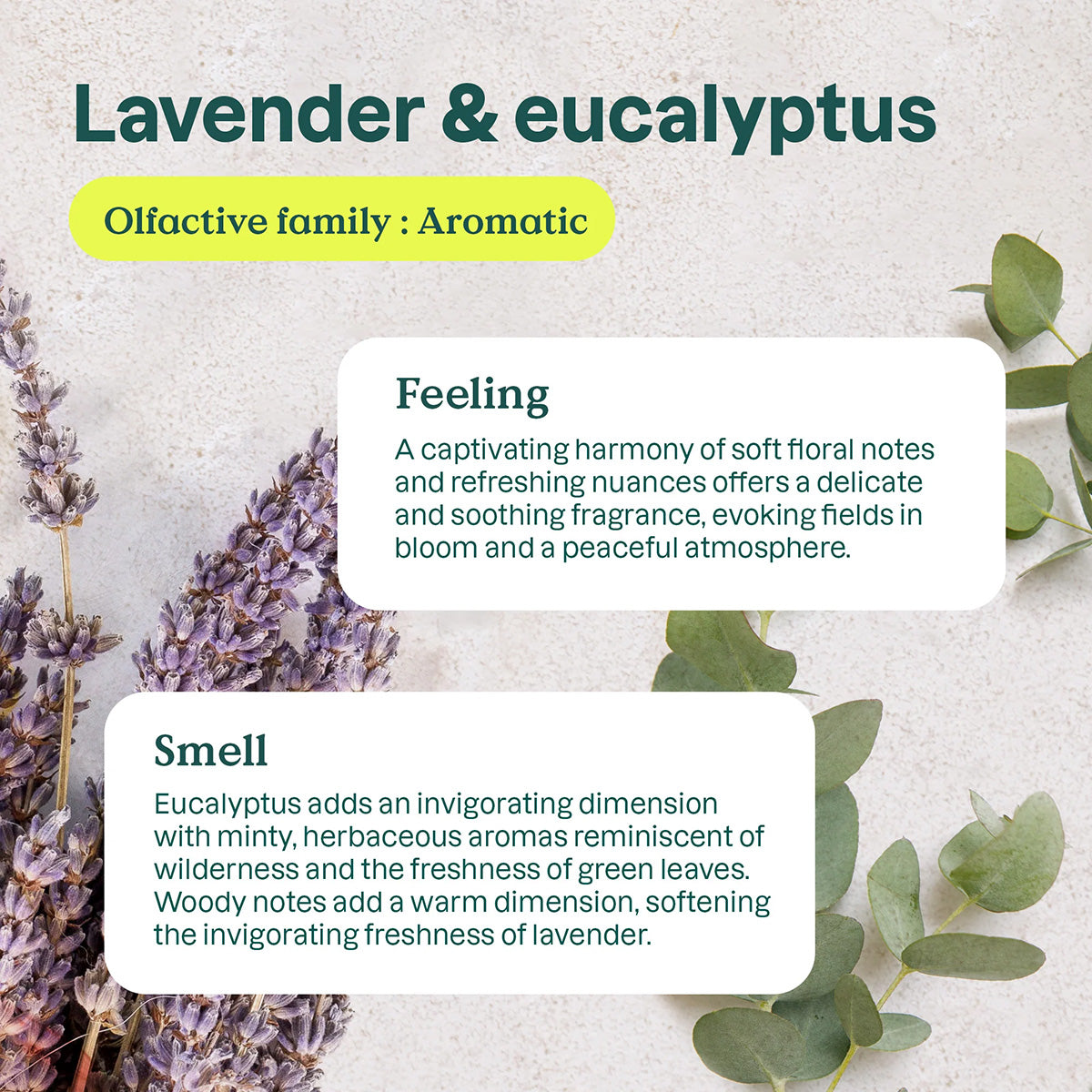 Naturlig luftrenare Eukalyptus och lavendel Attitude 227 g