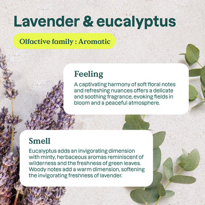 Naturlig luftrenare Eukalyptus och lavendel Attitude 227 g