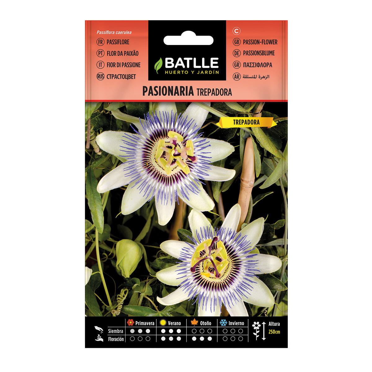 Semi di Passiflora rampicante Batlle