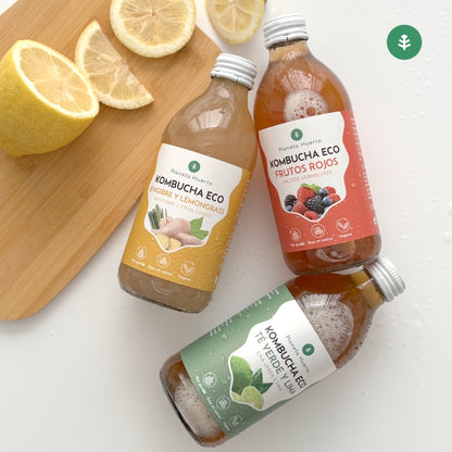 Pack 6x Kombucha ECO thé vert et citron vert Planeta Huerto 330 ml