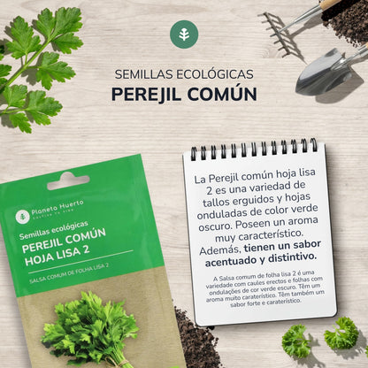 Semillas de Perejil común hoja lisa ecológicas Planeta Huerto
