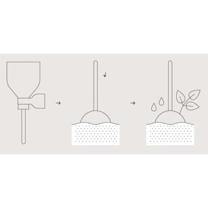 Desserts Garden Lollipop Samen